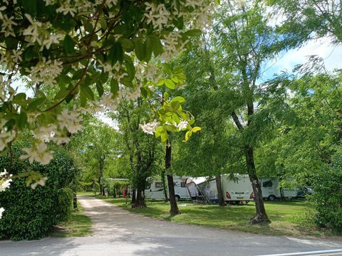 Camping La Digue - Ardèche - Image N°3