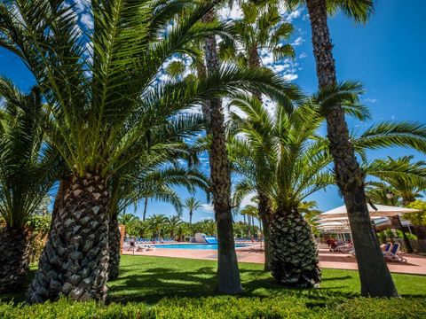 Camping Estival Vendrell Platja - Tarragona