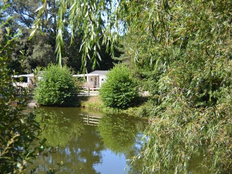 Camping Au Bois de Calais - Camping Corrèze - Image N°5