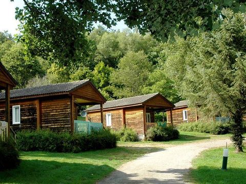 Camping Au Bois de Calais - Camping Corrèze - Image N°2