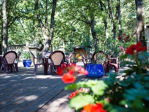 Camping Le Bois Des Ecureuils - Camping Gard - Image N°3