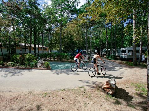 Camping Mare Pineta - Triest