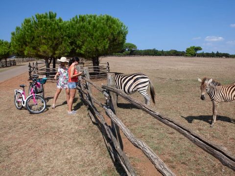 Camping Bi Village  - Istrien