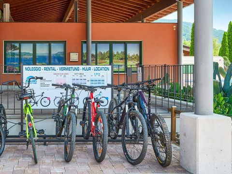 Camping Isolino - Verbano-Cusio-Ossola