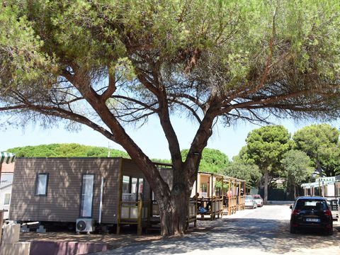 Camping Tikayan le Méditerranée - Var - Image N°3