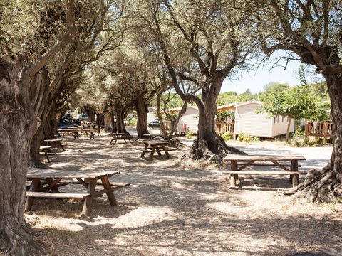 Camping La Baie des Anges - Bouches-du-Rhône