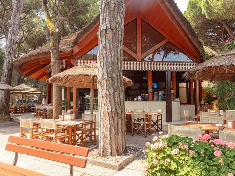 Camping Mare e Pineta - Ferrara