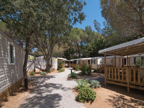 Camping Santa Elena Ciutat - Girona - Image N°4