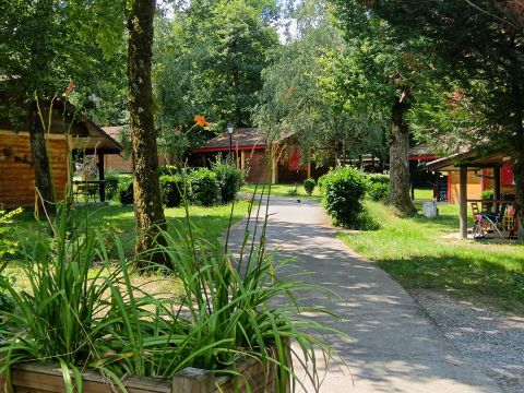 Camping Relais du Léman Pausado - Haute-Savoie - Image N°5