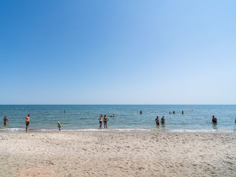 Pineta Family Camping Village - Camping Ravenna