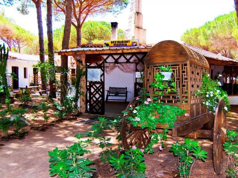 Camping Bella Sardinia - Oristano