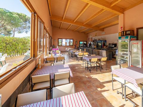 Camping Internacional Palamos - Girona