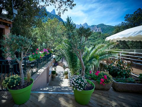 Camping Les Oliviers - Südkorsika