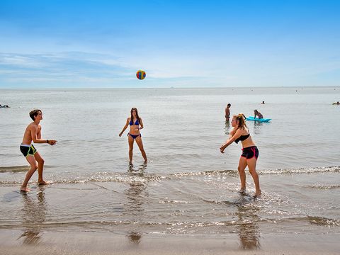 Rosapineta Camping Village - Rovigo
