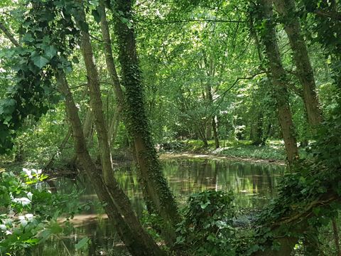 Camping  Le Parc des Roches - Essonne