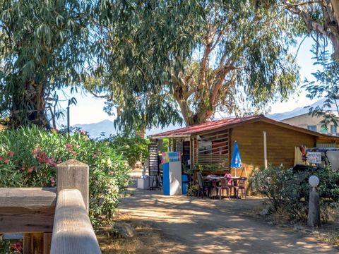 Camping U pezzo - Nordkorsika - Image N°3