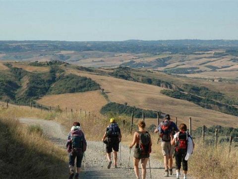 Camping Boschetto di Piemma - Siena