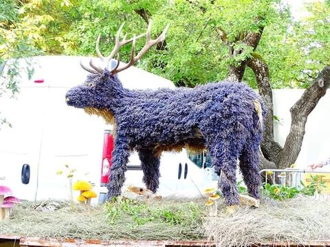 Camping Du Défends  - Vaucluse