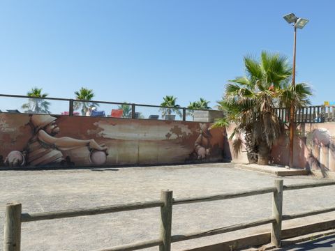 Camping Bleu Marine   - Hérault
