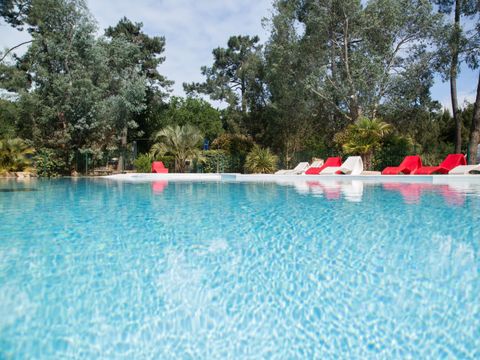 Nicoll's Camp/Pins - Gironde