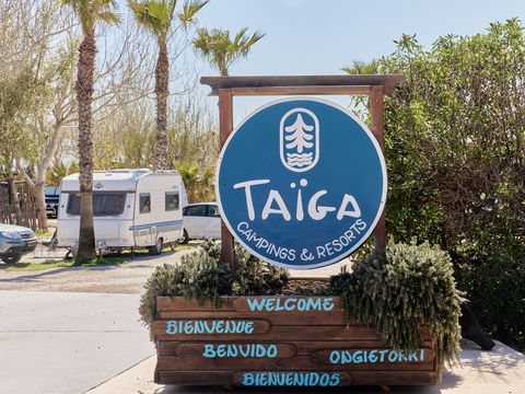 TAIGA Delta de L'Ebre - Tarragona - Image N°3