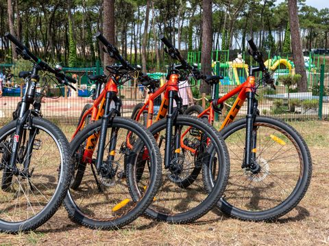 Camping Club Les Tourterelles 4* - MS VACANCES - Landes