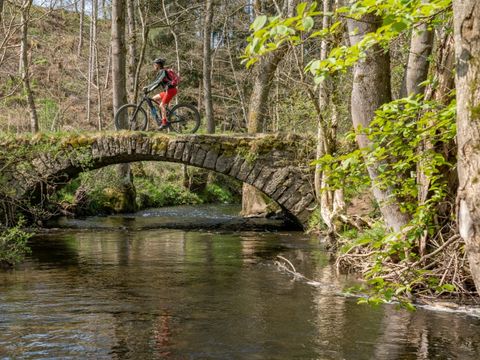 Camping La Colline - Belgisches Luxemburg - Image N°18