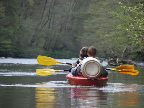 Camping La Colline - Belgisches Luxemburg - Image N°22