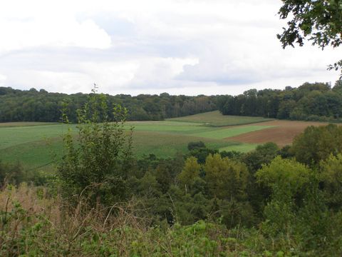Camping La Colline - Belgisches Luxemburg - Image N°33