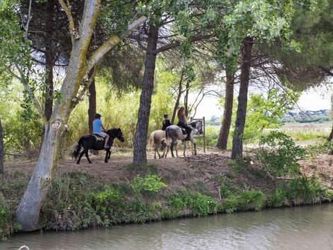 Camping Les Tamaris et Les Portes Du Soleil  - Hérault