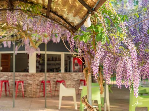 Camping U Casone - Nordkorsika