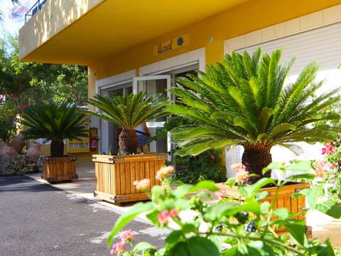 Camping International - Var - Image N°2