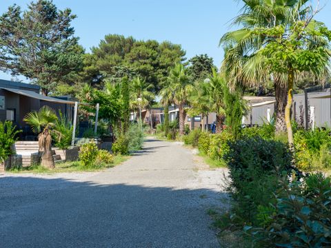 Domaine Les Mûriers - Hérault - Image N°2