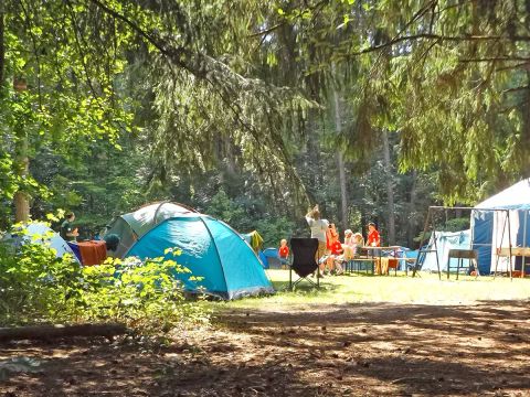 Camping Paradis - Albret - Landes - Image N°5