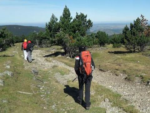 Bivouac nature - Gard