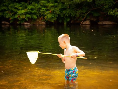 Camping des Drouilhèdes - Gard