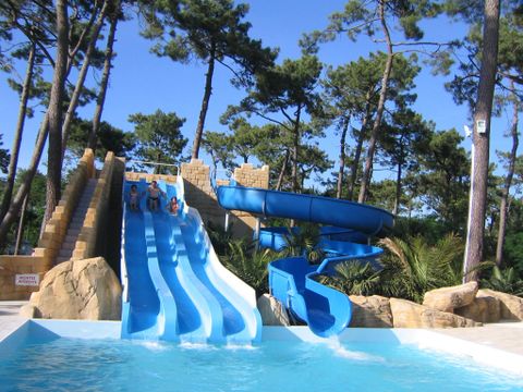 Camping le Dauphin - Charente-Maritime - Image N°0