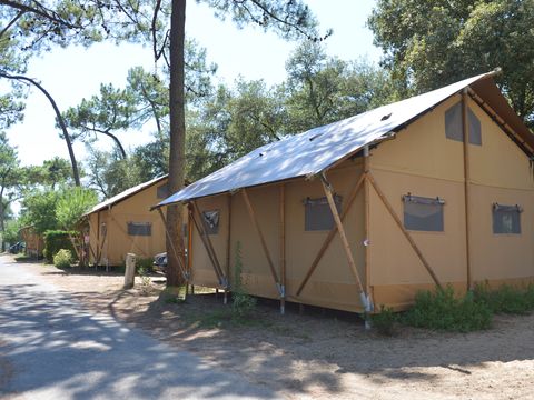 Camping Les Pins d'Oléron  - Charente-Maritime - Image N°3
