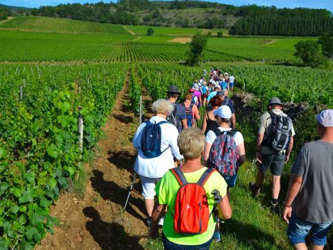 Camping Lac de Saint-Point Lamartine - Doubs