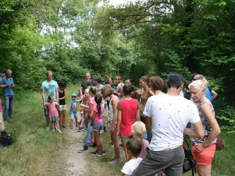 Camping Ushuaïa Villages Au Bois Joli - Yonne