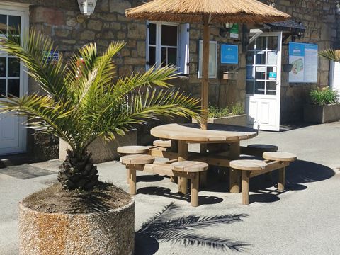 Camping Paradis - Les Palmiers - Camping Morbihan - Image N°0