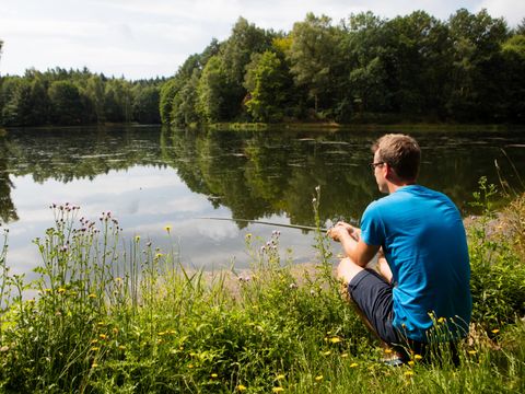 Camping Domaine des Messires - Vosges