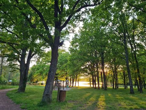 Camping La Tour Du Stock - Moselle - Image N°5