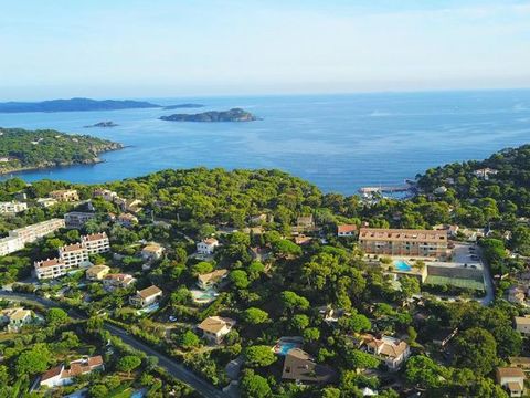 Camping Clair de Lune - Camping Var