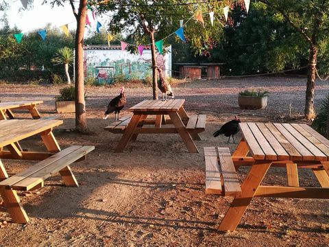 Camping Ecocamp Vinyols - Camping Tarragona - Image N°3