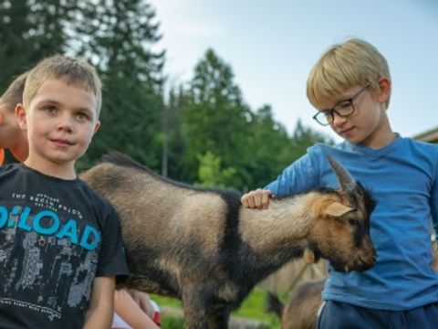 Kleinenzhof Family Resort - Baden-Württemberg - Image N°5