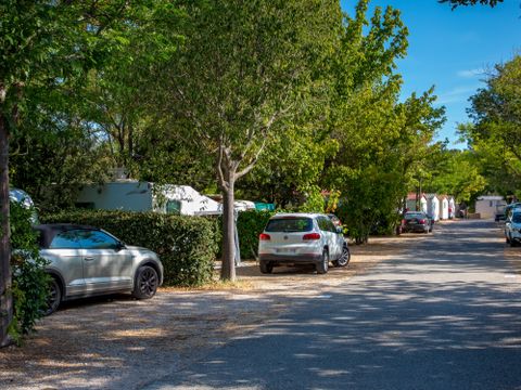 Camping La Pinède - Alpes-de-Haute-Provence - Image N°4