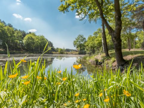 Vakantiepark de Bergen - Sint Anthonis - Image N°49
