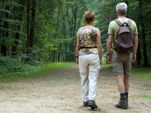 Camping Wilhelm Tell - Belgisches Limburg