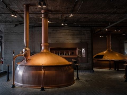 Camping Wilhelm Tell - Belgisches Limburg